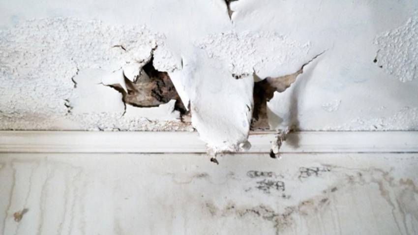 How Waterproofing Solutions Protect your Home (Image: Shutterstock)